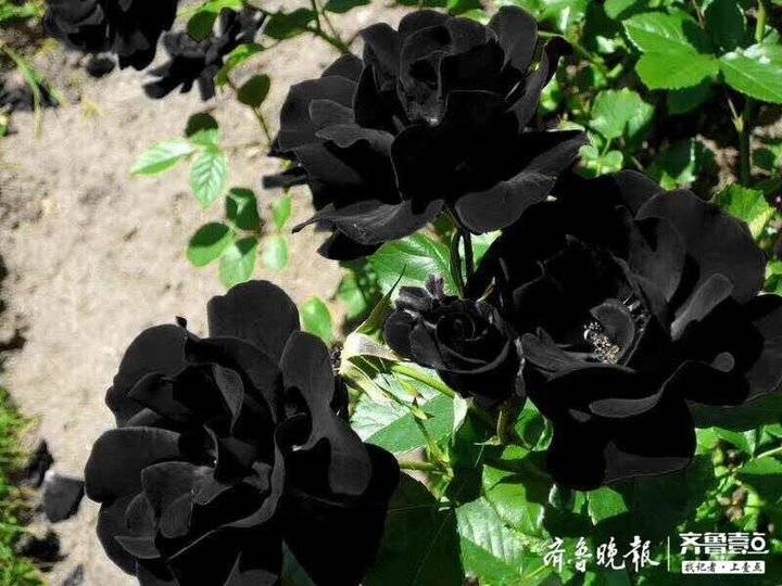 腾博会app_手机版下载
网-腾博会app新闻门户 传播品质资讯